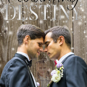 Haunting Destiny (A Valley Ghosts Holiday Short Story)